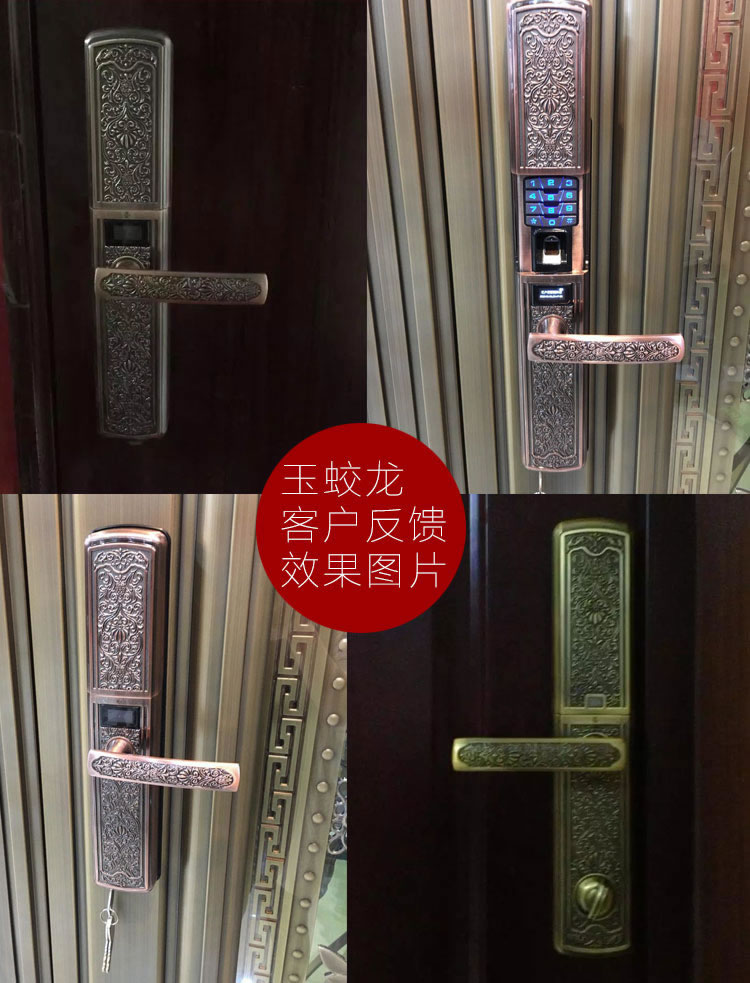 玉蛟龍智能門鎖 智能鎖防窺視輸入、半導(dǎo)體/光學(xué)指紋傳感器