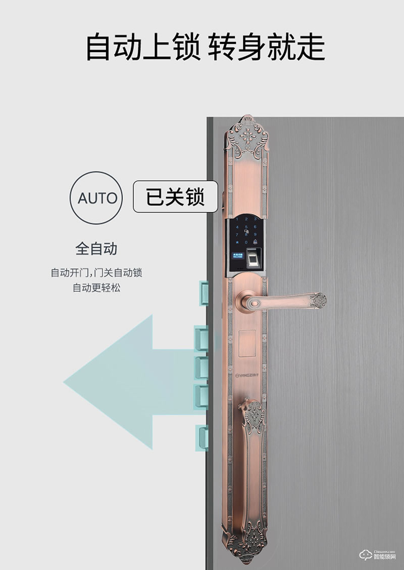 揚(yáng)子智能鎖 T06豪華別墅式智能鎖