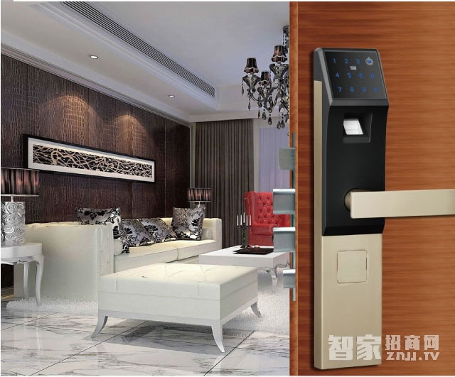 百思易智能鎖 防盜智能鎖/不銹鋼霸王鎖體/八種開(kāi)鎖方式