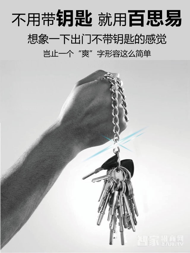 百思易智能鎖 防盜智能鎖/不銹鋼霸王鎖體/八種開(kāi)鎖方式