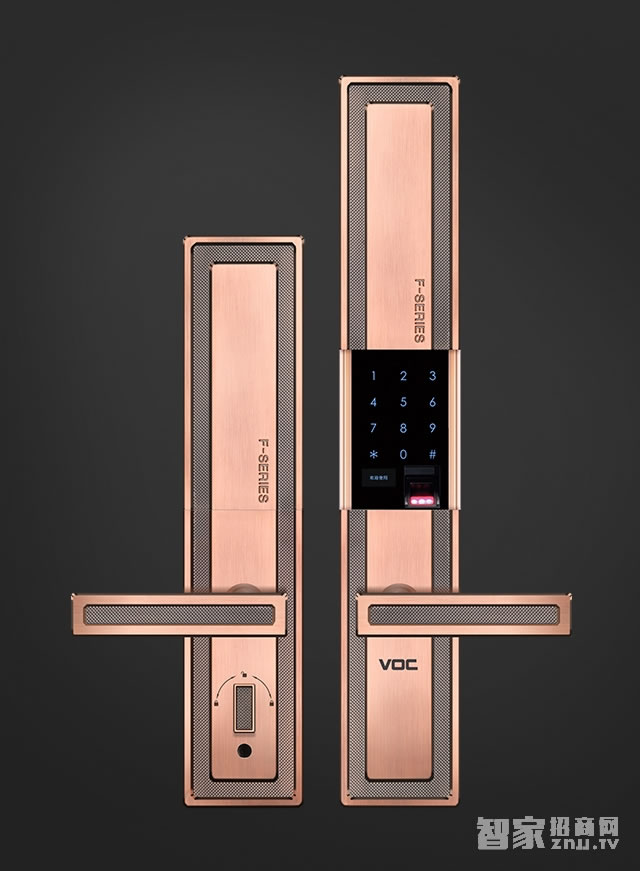 voc智能密碼鎖 F9指紋家用電子門鎖