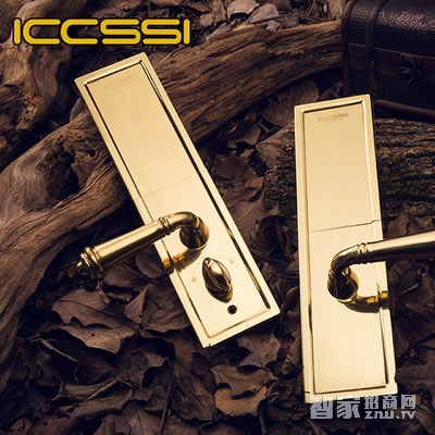 艾棲防盜銅門鎖 純銅手工制 德國進口電子門鎖