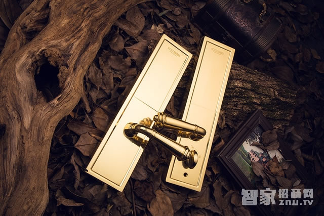 艾棲防盜銅門鎖 純銅手工制 德國進口電子門鎖