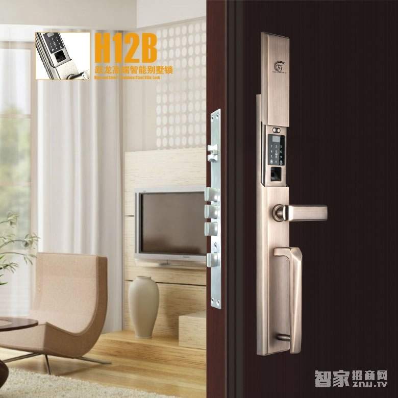 放龍科技智能鎖 別墅滑蓋指紋鎖 觸控電子密碼鎖