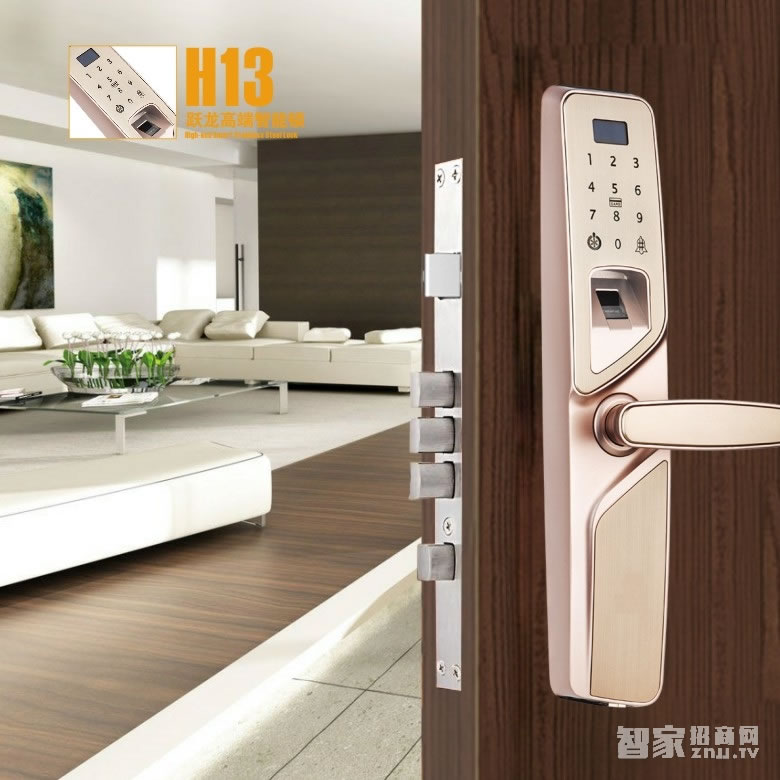 放龍科技智能鎖 鋅合金智能指紋鎖 四合一防盜電子密碼鎖