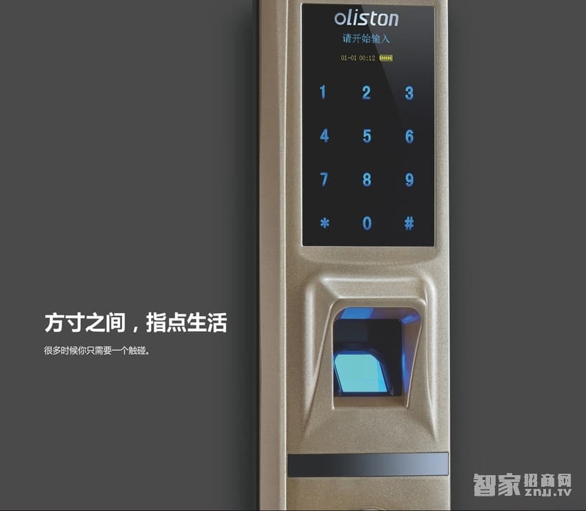 歐萊斯頓 家用防盜門鎖指紋鎖智能鎖
