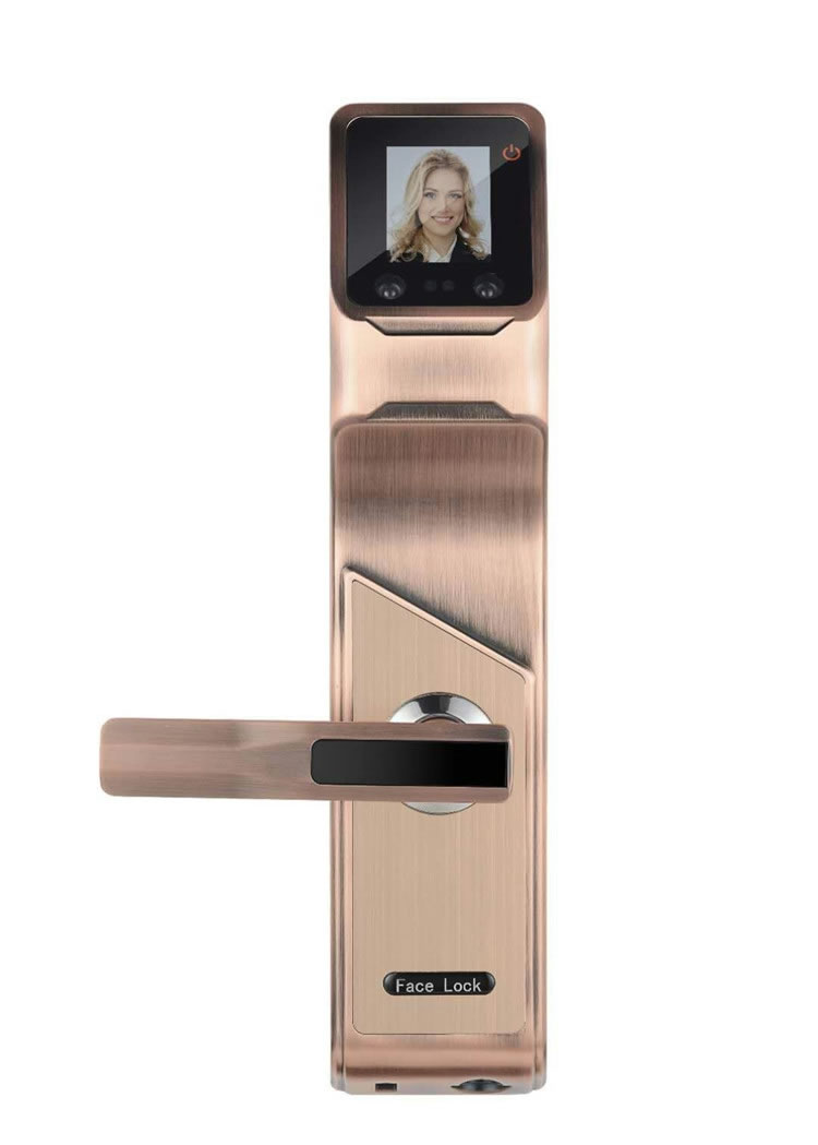 天仕盾人臉識別鎖 掌靜脈智能鎖