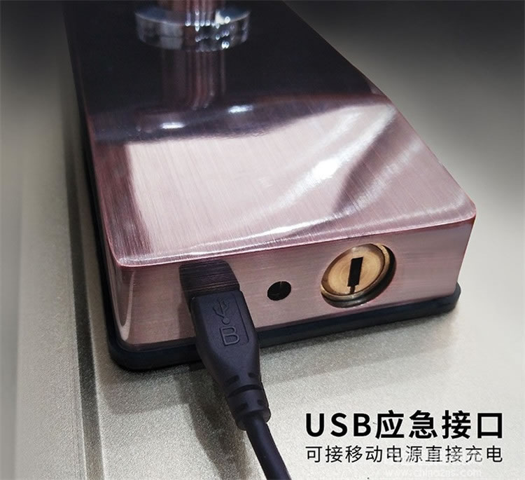 天仕盾人臉識別鎖 掌靜脈智能鎖