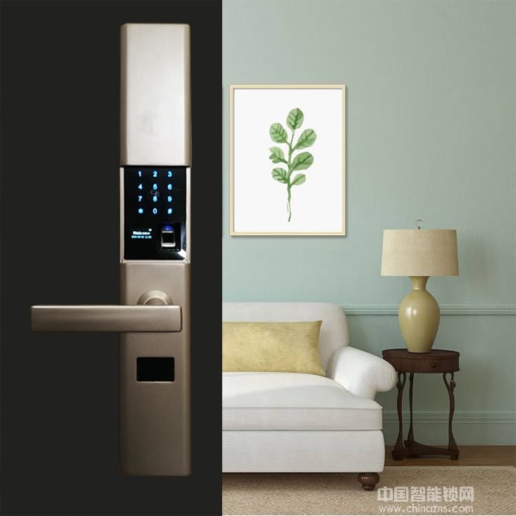 黑將軍指紋鎖 防貓眼設(shè)計(jì)家庭大門鎖 APP滑蓋半導(dǎo)體指紋鎖