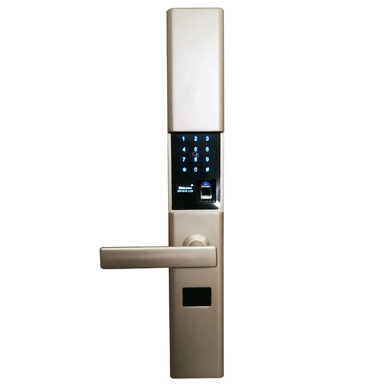 黑將軍指紋鎖 防貓眼設(shè)計(jì)家庭大門鎖 APP滑蓋半導(dǎo)體指紋鎖