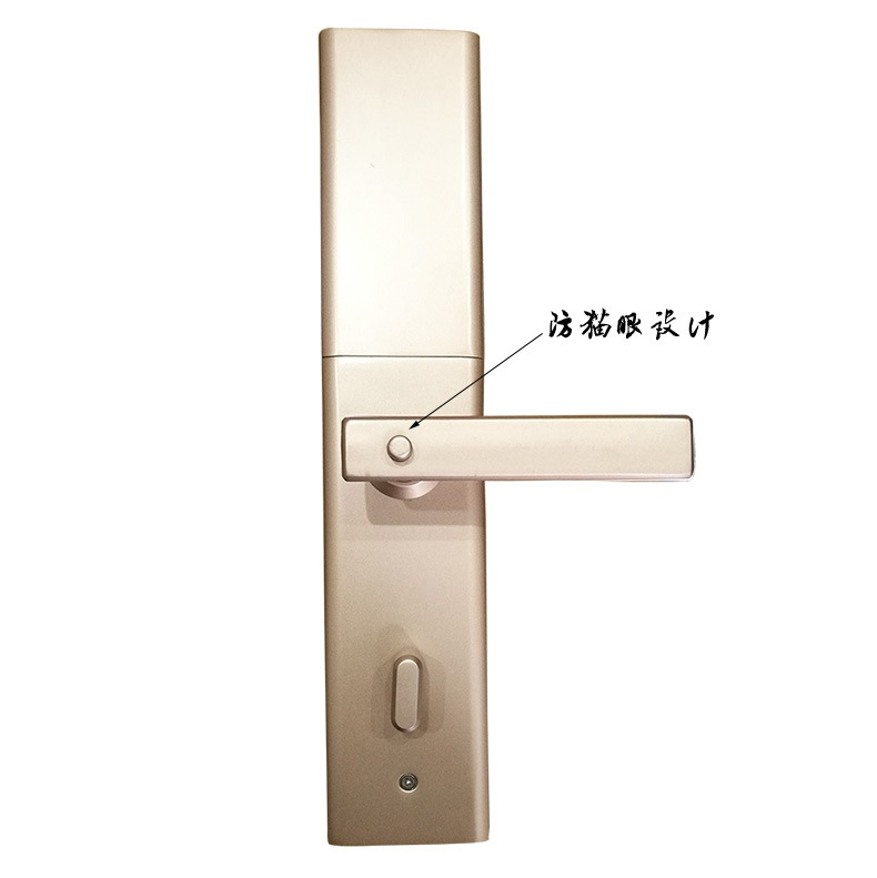 黑將軍指紋鎖 防貓眼設(shè)計(jì)家庭大門鎖 APP滑蓋半導(dǎo)體指紋鎖