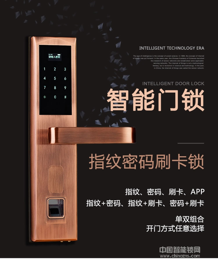 歐瑞酒店鎖 家用防盜門智能鎖 手機(jī)APP遠(yuǎn)程電子感應(yīng)鎖