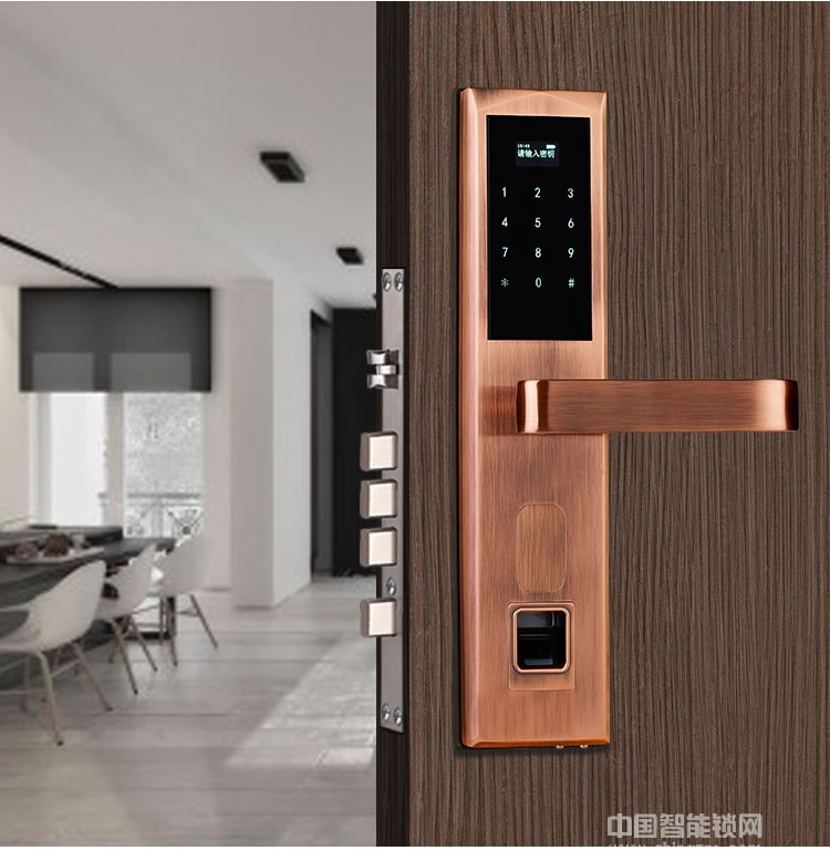 歐瑞酒店鎖 家用防盜門智能鎖 手機(jī)APP遠(yuǎn)程電子感應(yīng)鎖