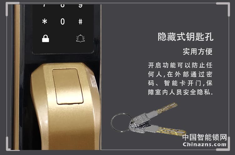 愛爾家家用指紋鎖D1 鋁合金全自動(dòng)智能鎖