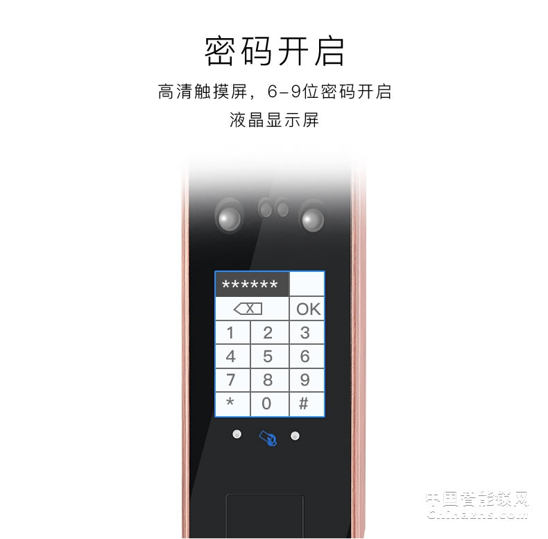 因碩人臉識(shí)別鎖 全自動(dòng)指紋鎖 刷臉智能門(mén)鎖
