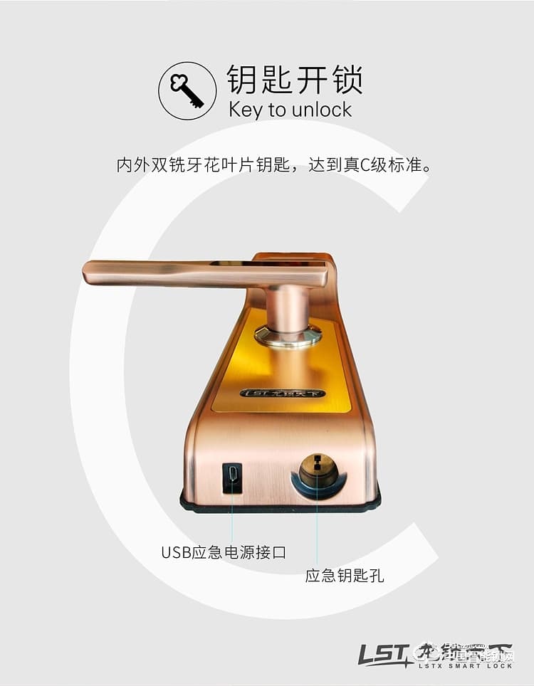 龍鎖天下智能鎖 人臉識(shí)別智能鎖 防盜門智能鎖Q7