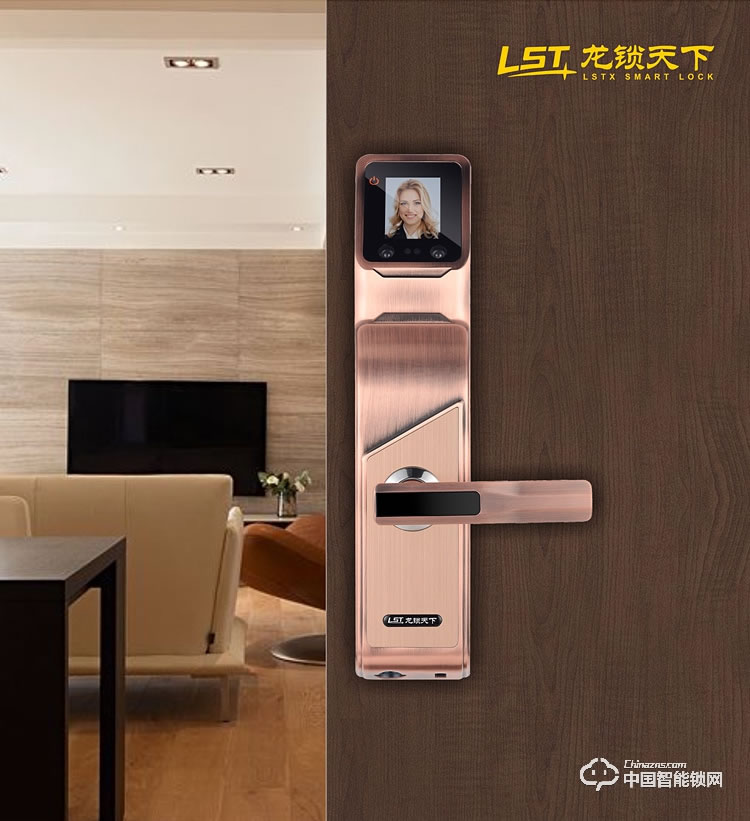 龍鎖天下智能鎖 人臉識(shí)別智能鎖 防盜門智能鎖Q7