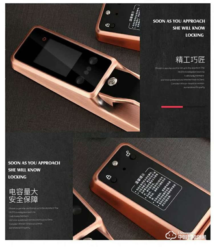 智得利智能鎖 人臉識別智能鎖 家用電子密碼鎖A-098