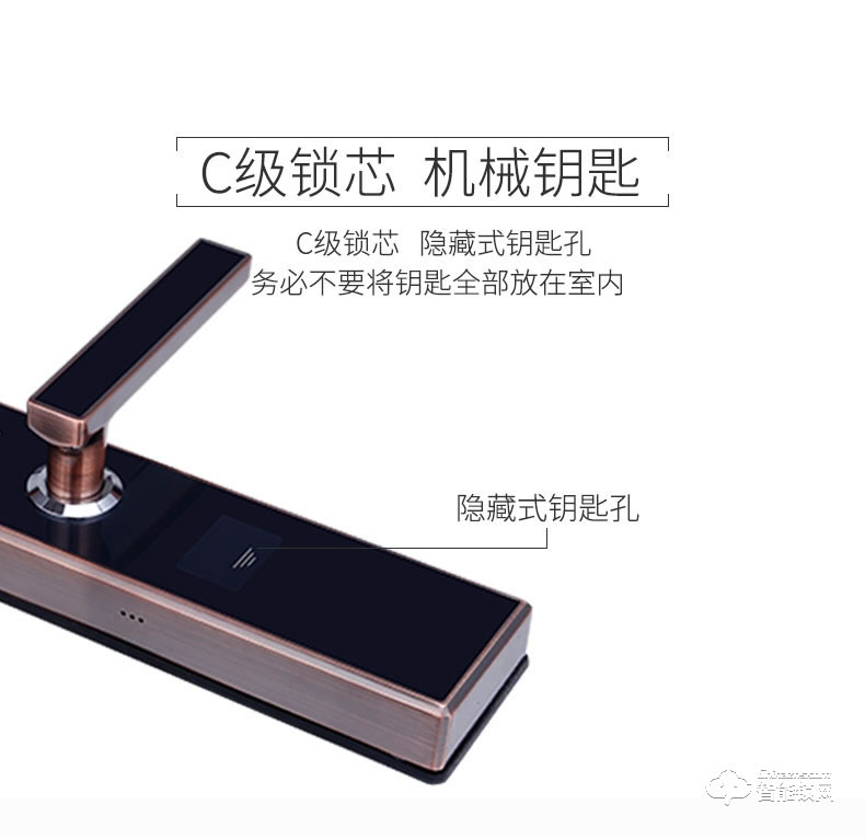 威士迪智能鎖 人臉識別鎖電子智能鎖