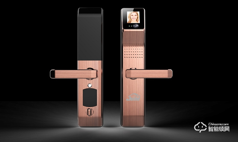 吉斯盾智能鎖 LZ-R100面部識別掌紋識別紅外智能鎖