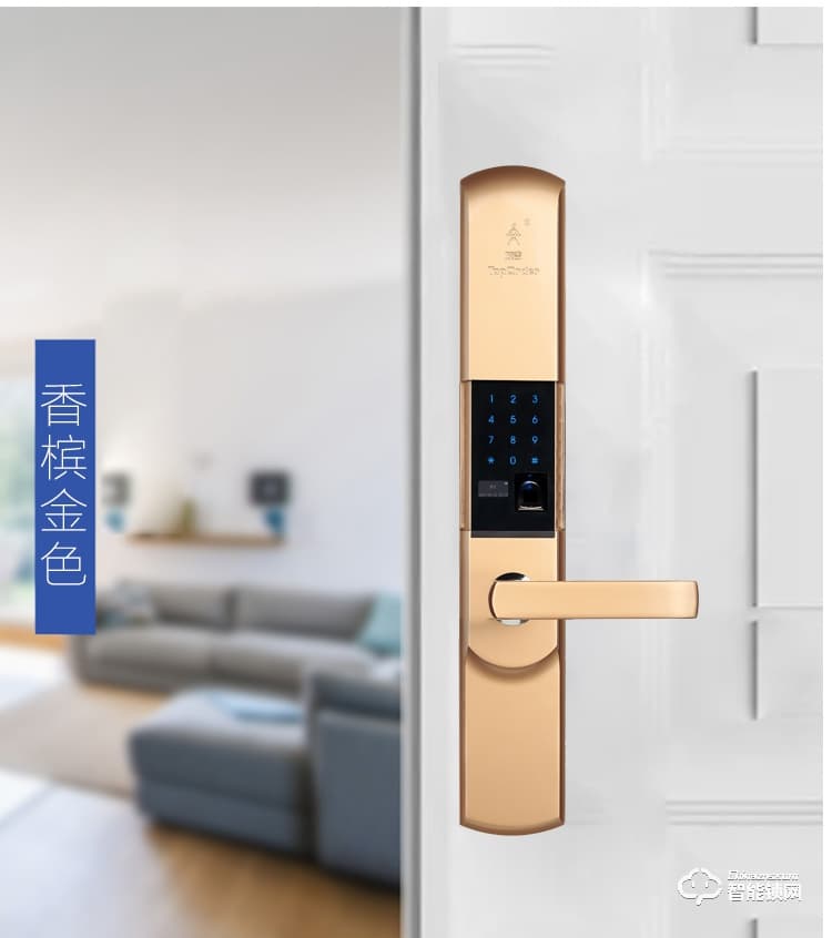 頂吉無孔智能鎖 T200F-1急速指紋鎖電子門鎖