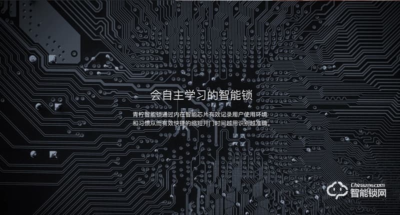 青檸智能鎖 L系列別墅防盜門感應鎖