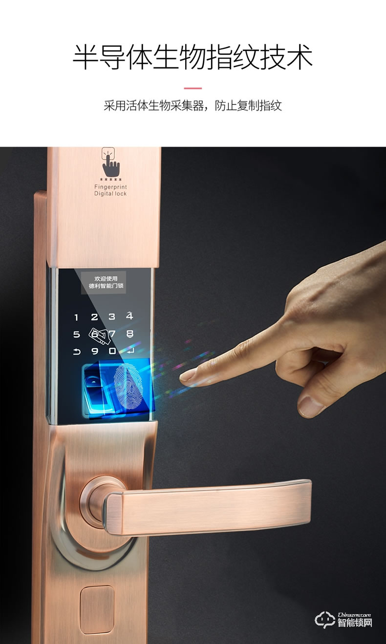 德利智能鎖 防盜門鎖木門智能密碼鎖