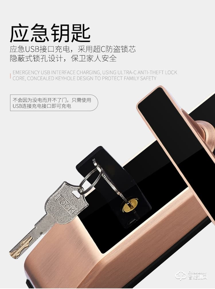 梵蒂安指紋鎖 全自動(dòng)密碼鎖人臉識(shí)別鎖