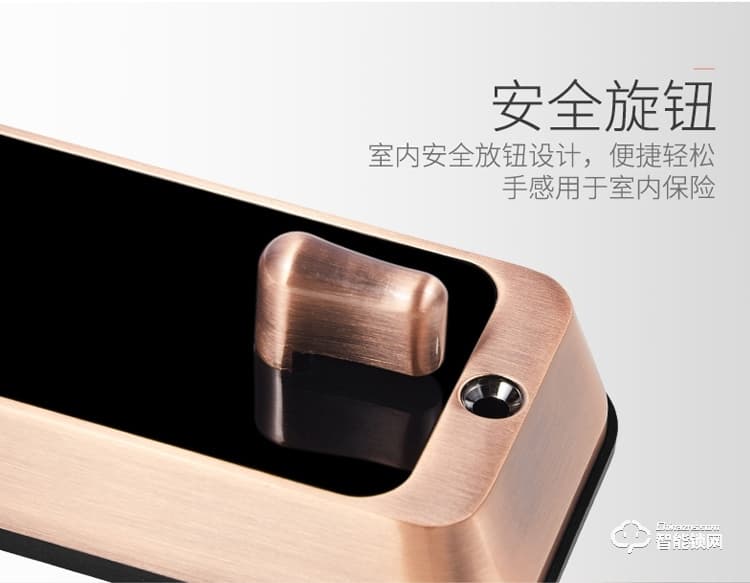 梵蒂安指紋鎖 全自動(dòng)密碼鎖人臉識(shí)別鎖