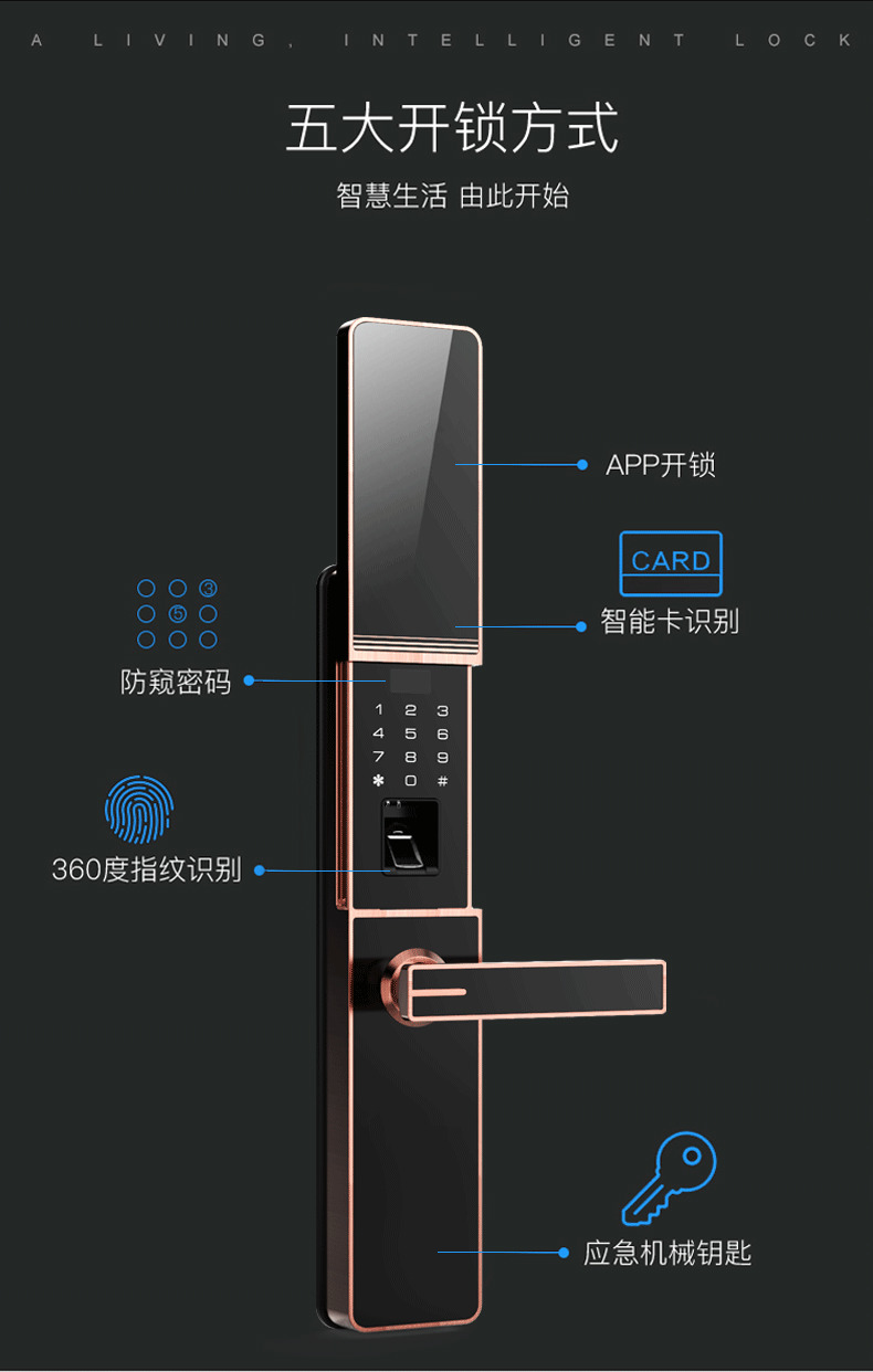 佰德龍智能鎖 219家用防盜門指紋鎖遠(yuǎn)程智能鎖