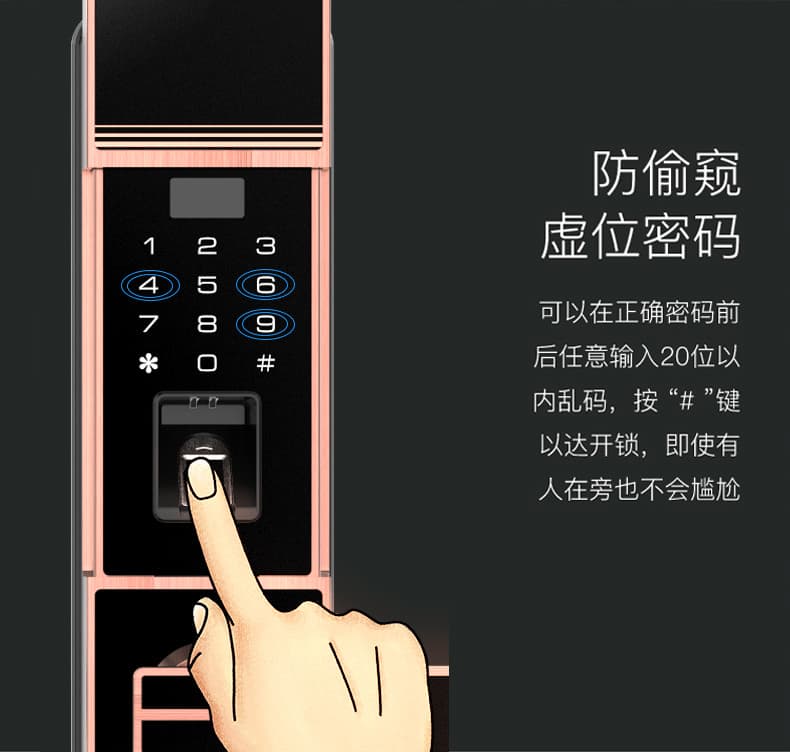 佰德龍智能鎖 219家用防盜門指紋鎖遠(yuǎn)程智能鎖