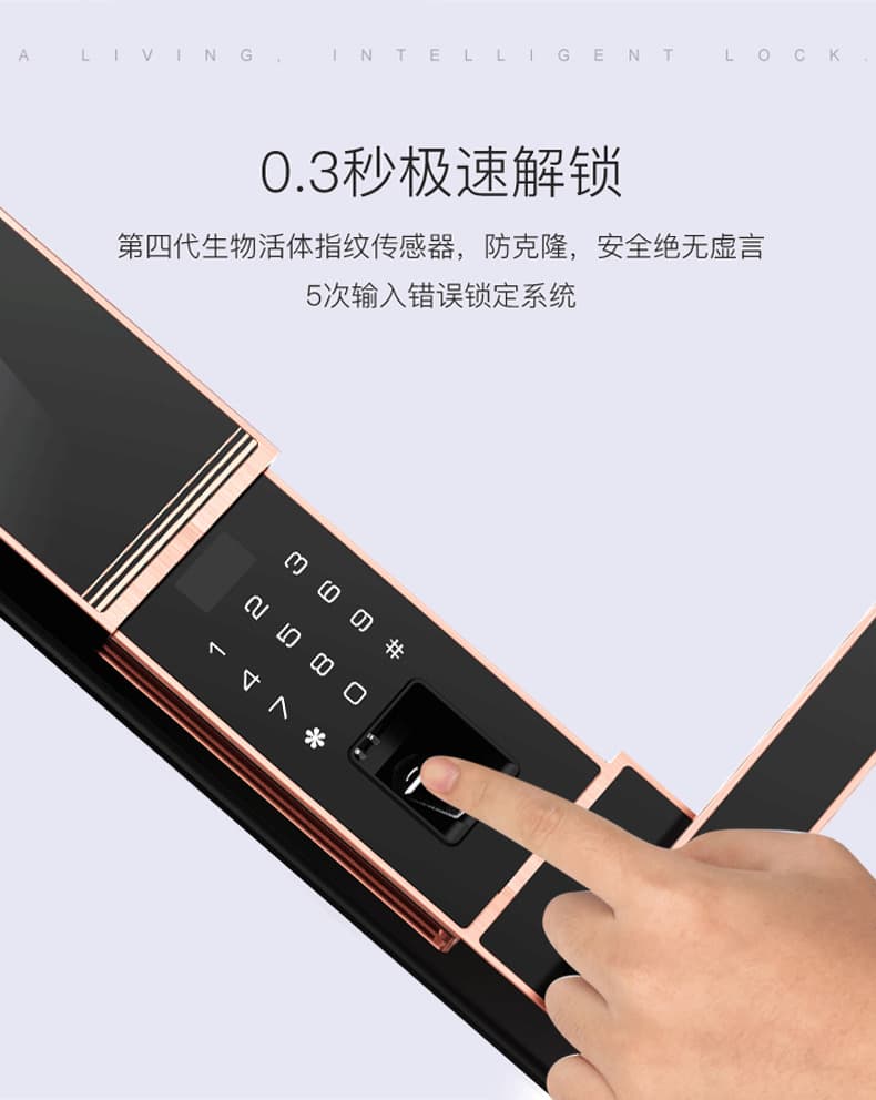 佰德龍智能鎖 219家用防盜門指紋鎖遠(yuǎn)程智能鎖