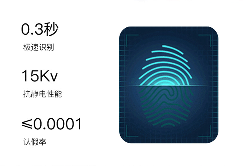 佰德龍智能鎖 219家用防盜門指紋鎖遠(yuǎn)程智能鎖