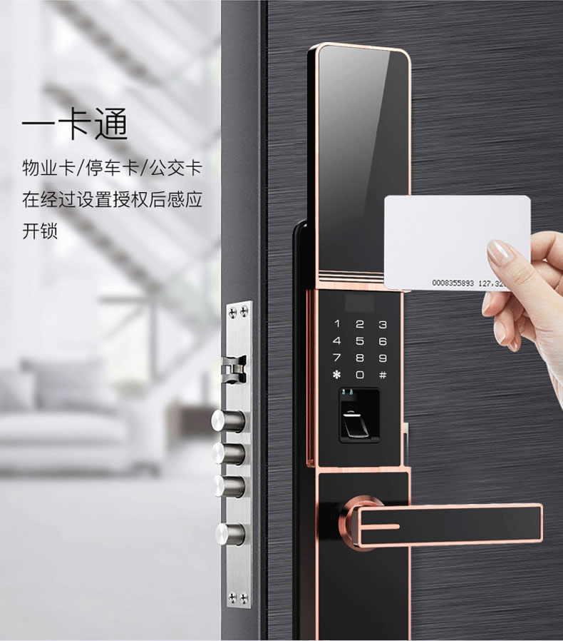 佰德龍智能鎖 219家用防盜門指紋鎖遠(yuǎn)程智能鎖