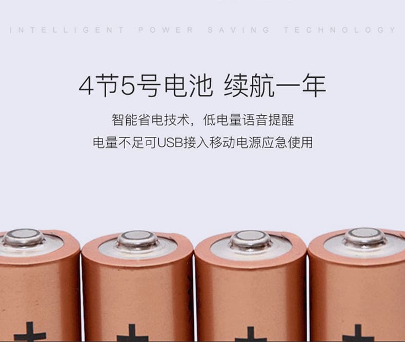 佰德龍智能鎖 219家用防盜門指紋鎖遠(yuǎn)程智能鎖