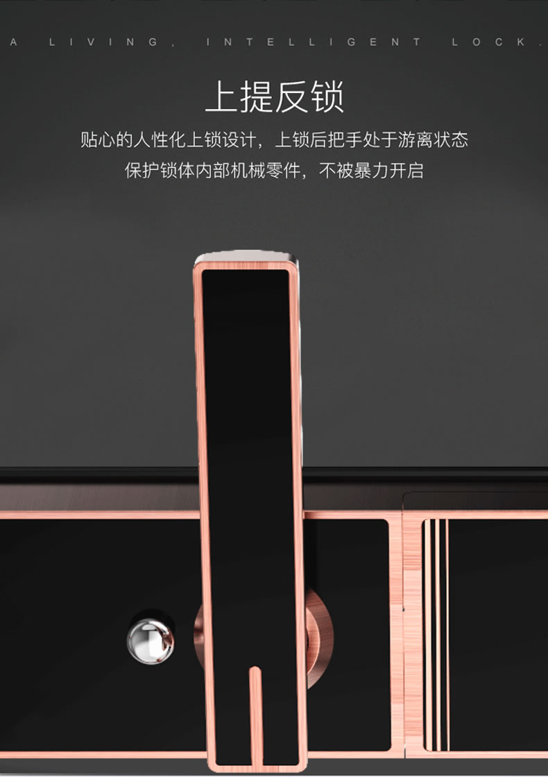 佰德龍智能鎖 219家用防盜門指紋鎖遠(yuǎn)程智能鎖