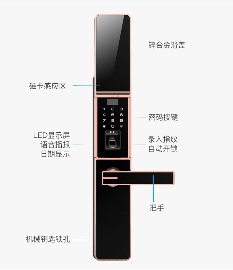 佰德龍智能鎖 219家用防盜門指紋鎖遠(yuǎn)程智能鎖