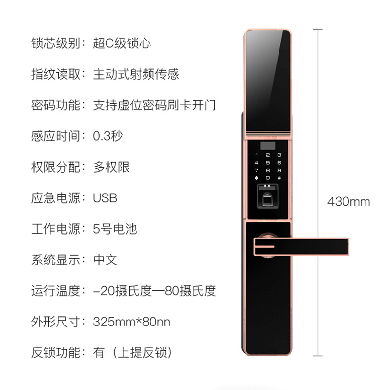 佰德龍智能鎖 219家用防盜門指紋鎖遠(yuǎn)程智能鎖