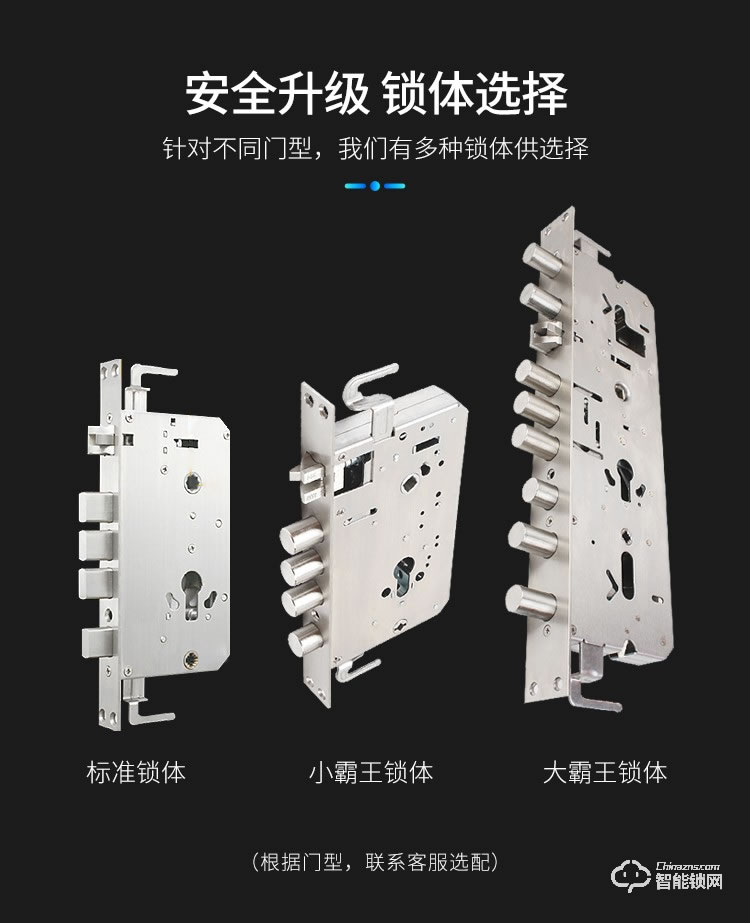 西紅仕智能鎖 α9防盜門(mén)密碼智能指紋鎖