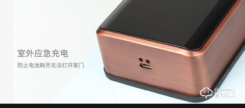 艾爾邁智能鎖 全自動(dòng)防盜智能門鎖