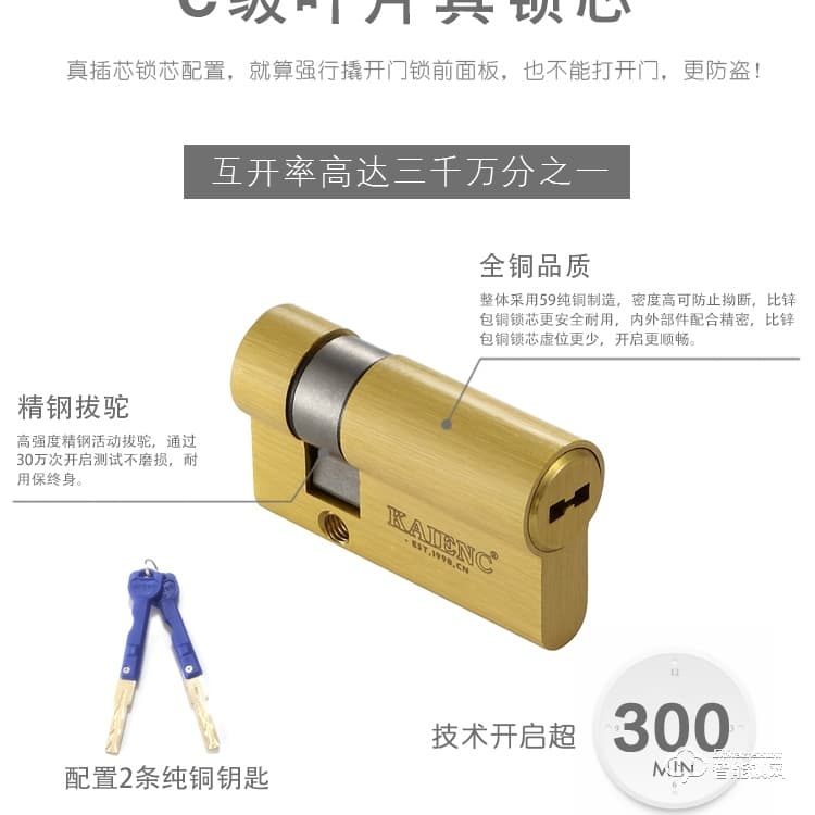 凱恩斯智能鎖 防盜密碼鎖刷卡鎖批發