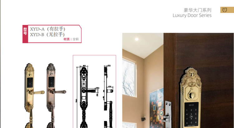 芯億迪智能鎖 別墅大門(mén)鎖家用防盜門(mén)鎖