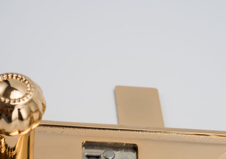 芯億迪智能鎖 別墅大門(mén)鎖家用防盜門(mén)鎖