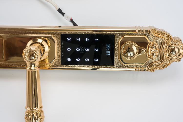 芯億迪智能鎖 別墅大門(mén)鎖家用防盜門(mén)鎖