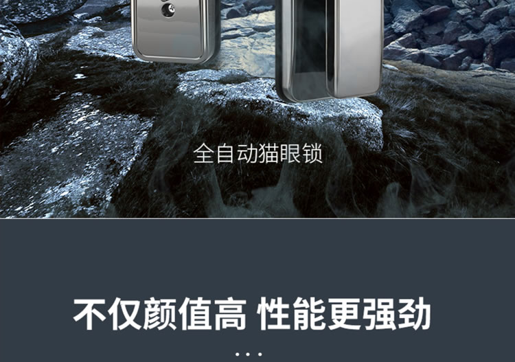 芯億迪智能鎖 全自動(dòng)人臉識(shí)別智能鎖