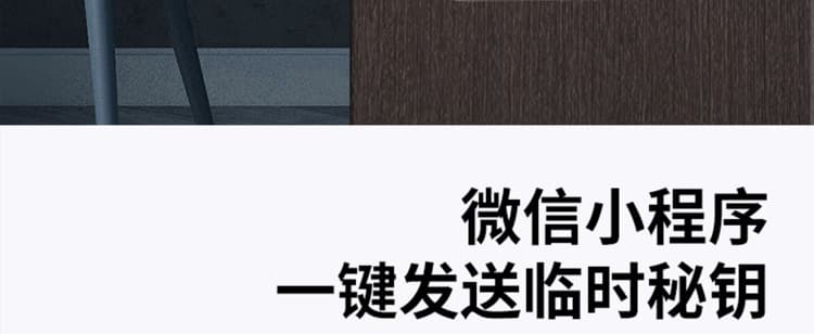 芯億迪智能鎖 全自動(dòng)人臉識(shí)別智能鎖