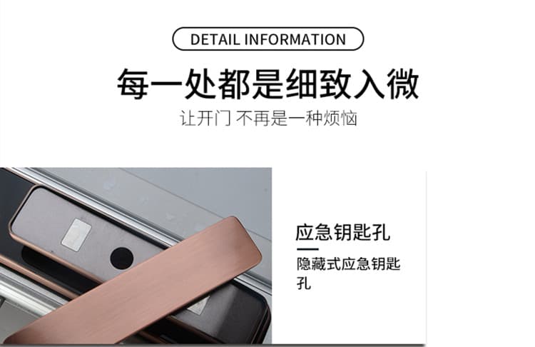 芯億迪智能鎖 全自動(dòng)人臉識(shí)別智能鎖