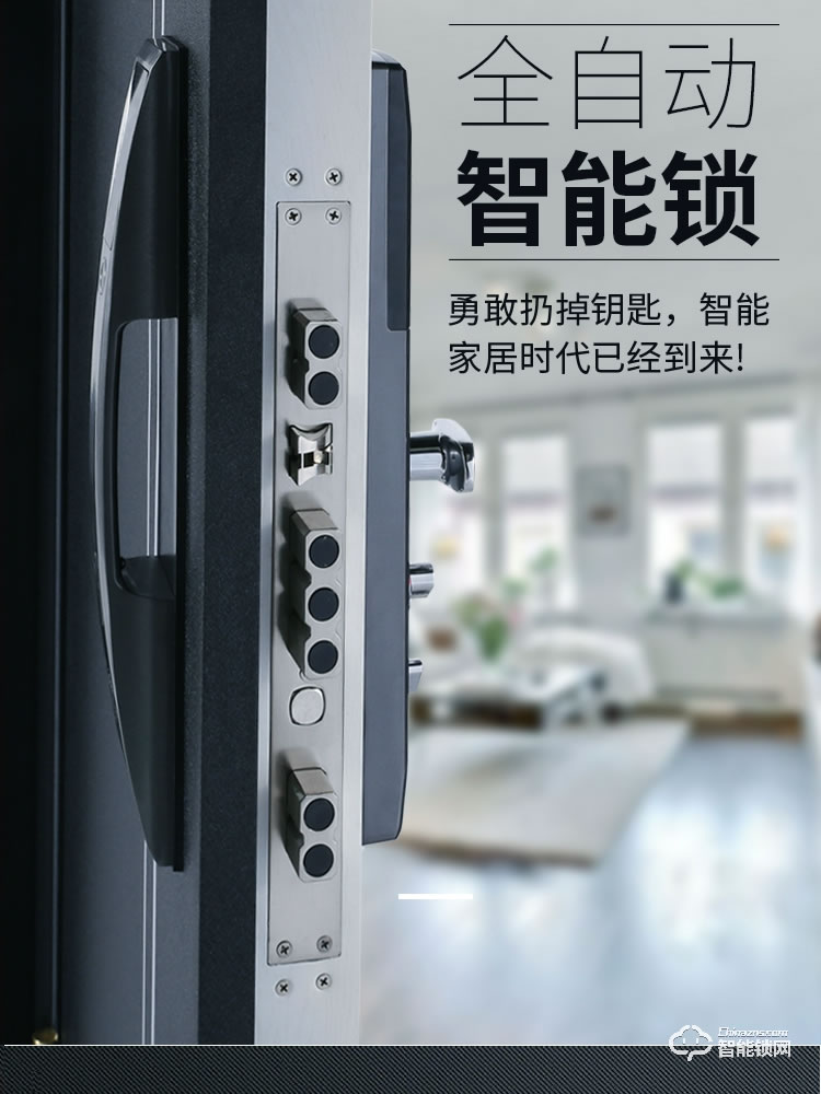 是德利智能鎖 迪奧甲級防盜門家用進戶門子母門