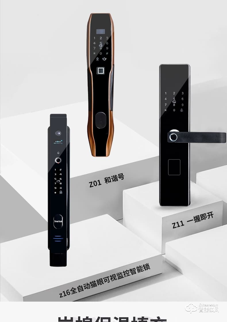 三得利智能門 甲級防盜門進(jìn)戶安全門