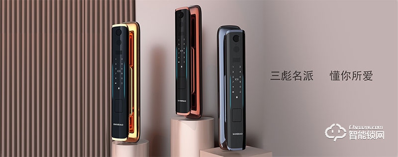三彪智能鎖 P30家用智能鎖
